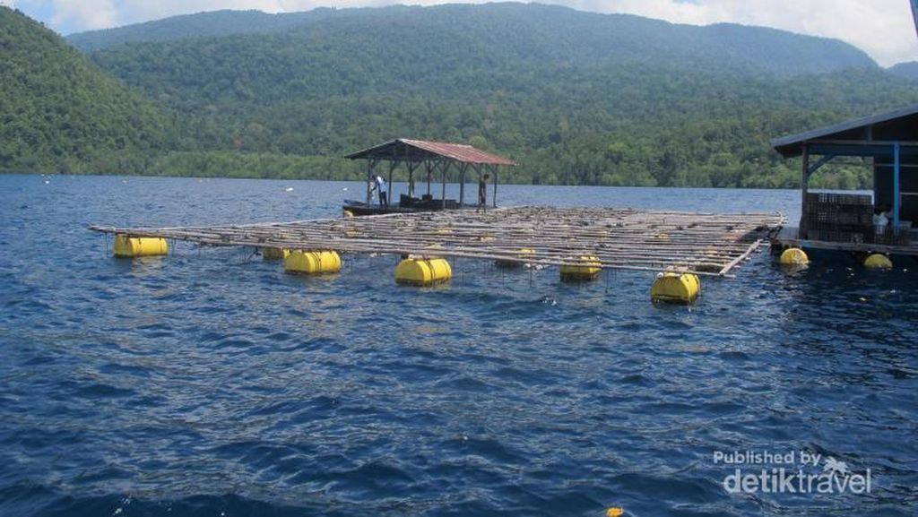 Mutiara di Raja Ampat Mutiara di Raja Ampat