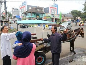 Naik Delman Keliling Lembang, Mesti Coba Nih!