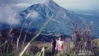 Naik ke Gunung Merbabu, Luar Biasa Indah!