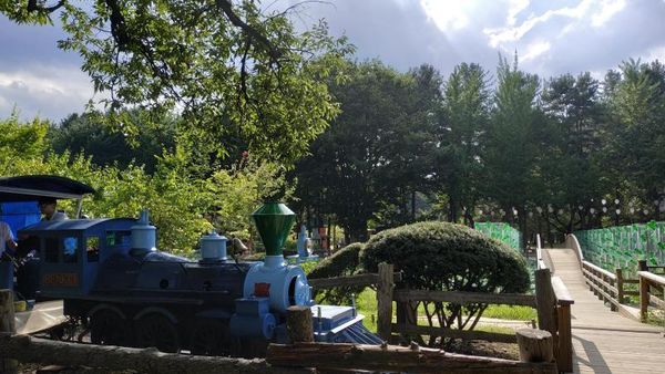 Nami Island Korea yang Populer di Mata Turis Indonesia