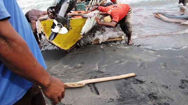 Nelayan dan Tangkapannya