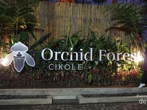 Ngabuburit di Bandung, ke Orchid Forest Saja
