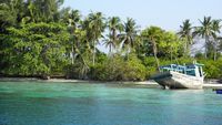 Ngeri-ngeri Asyik! Berenang Bareng Hiu di Karimunjawa