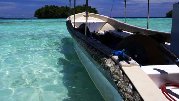 Nirwana Perairan Bening Raja Ampat