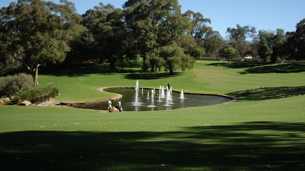 Nuansa Hijau Kota Perth di Kings Park