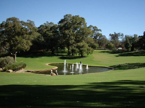 Nuansa Hijau Kota Perth di Kings Park