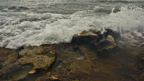 Ombak Tanjung Setia, Kepuasan para Surfer Dunia