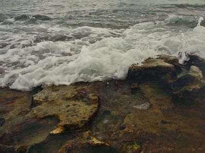 Ombak Tanjung Setia, Kepuasan para Surfer Dunia