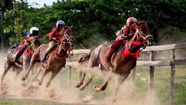 Pacoa Jara: Pacuan Kuda Khas Pulau Sumbawa