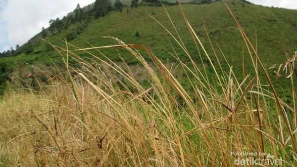 Panorama Gunung Sipiso-piso yang Indah Nian