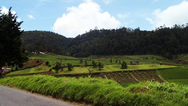 Panorama Menuju Gunung Kelud