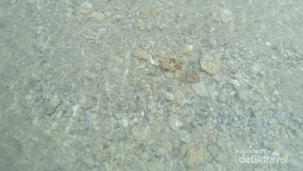 Pantai Buntu, Si Perawan di Pulau Bangka Pantai Buntu, Si Perawan di Pulau Bangka