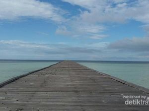 Pantai Cantik dan Anak Penyu Lucu di Sangalaki