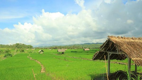 Pantai di Pacitan Ini Punya Batuan Megalitikum di Tepinya