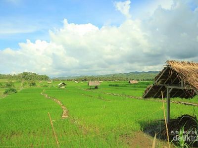 Pantai di Pacitan Ini Punya Batuan Megalitikum di Tepinya