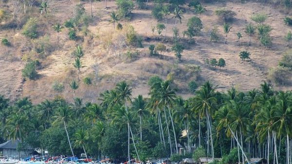 Pantai Nipah, Mutiara di Lombok Utara