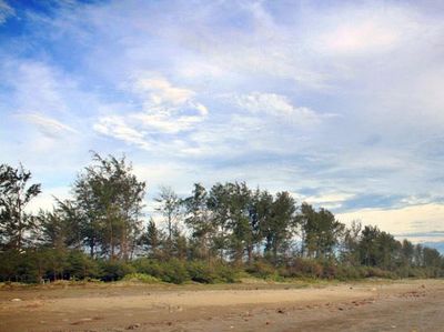 Pantai Panjang Bengkulu