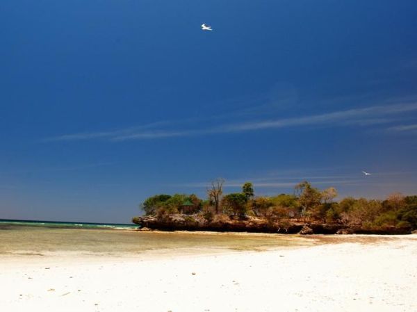 Pantai-Pantai Menawan di Kepulauan Selayar