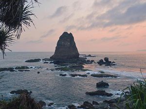Pantai Papuma, Si Eksotis Kebanggaan Warga Jember