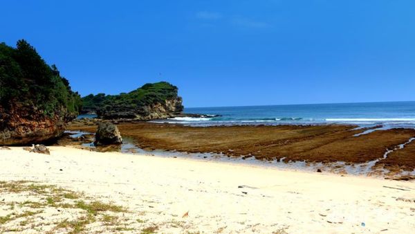 Pantai Watukarung, Great Barrier Reef ala Pacitan