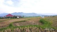 Pariangan, Desa Indah di Kaki Gunung Marapi