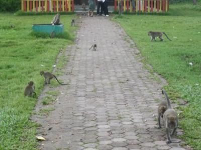 Pasar Martapura