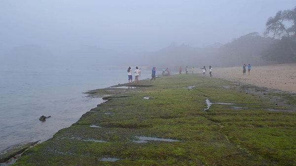 Pasti Seru, Yang di Malang ke Pantai Kondang Merak Yuk