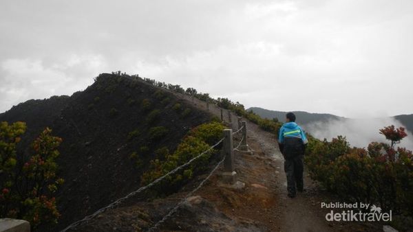 Pemandangan Indah Setelah Hujan di Puncak Gunung Gede