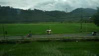 Pemandangan Jalur Kereta Banjar-Kroya yang Bikin Kangen