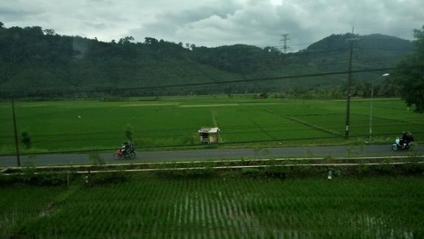 Pemandangan Jalur Kereta Banjar-Kroya yang Bikin Kangen