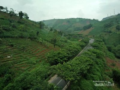 Pemandangan Paling Sejuk di Jalur Bandung-Cipeundey