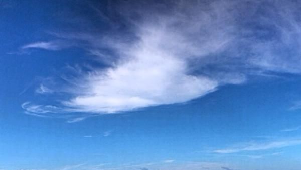 Penampakan Awan Berbentuk Burung Cenderawasih di Papua