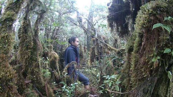 Pendakian Liar ke Atap Sumatera Utara