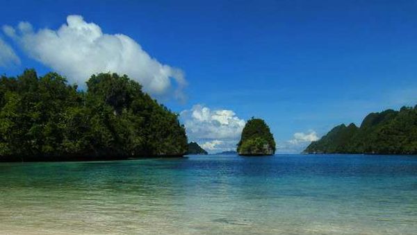 Pengalaman Luar Biasa Kudapat dari ACI Detikcom