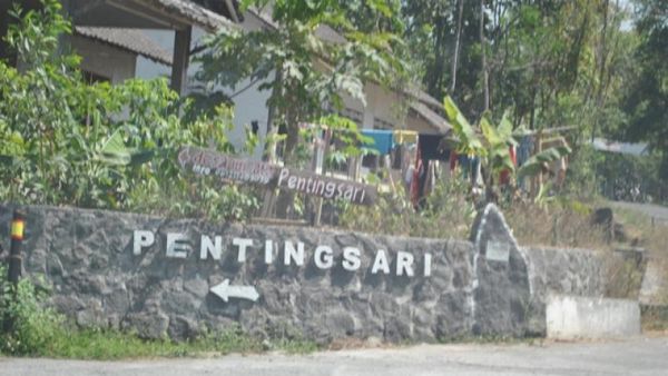 Pentingsari, Desa Wisata Asri di Lereng Merapi