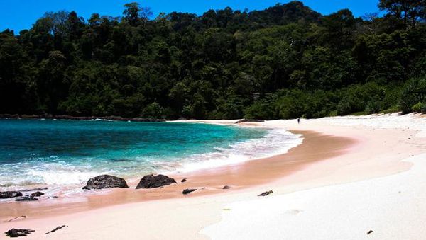 Perbedaan yang Indah dari Teluk Damai dan Teluk Hijau