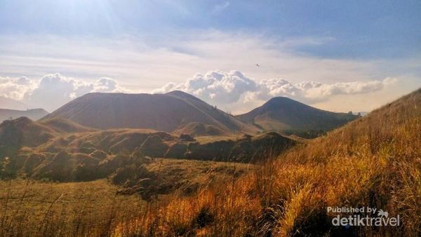 Percaya Nggak, Tempat Secantik Ini Ada di Bondowoso