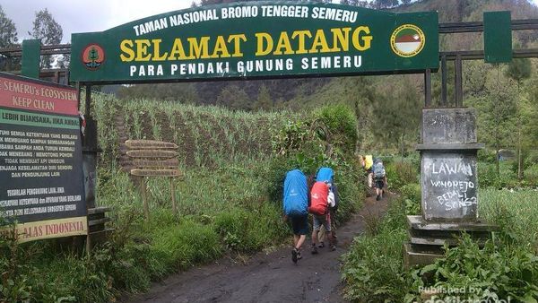 Perjalanan Singkat Menyusuri Indahnya Semeru