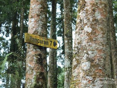 Perjuangan Mencapai Pancuran Pitu di Banyumas