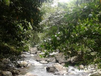 Pesona Air Terjun Saringgana yang Belum Banyak Orang Tahu