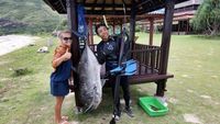 Pesona Alam dan Budaya Sumbawa Barat