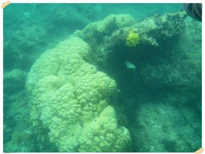 Pesona Bawah Laut Pulau Pramuka