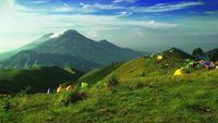Pesona Gunung Prau & Bukit Teletubies, Wonosobo
