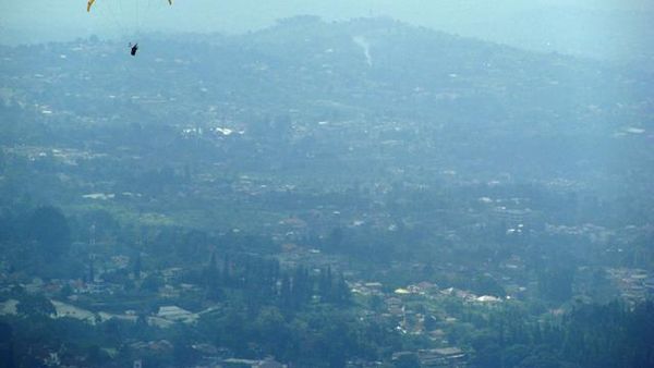 Pesona hijau hutan teh dari udara