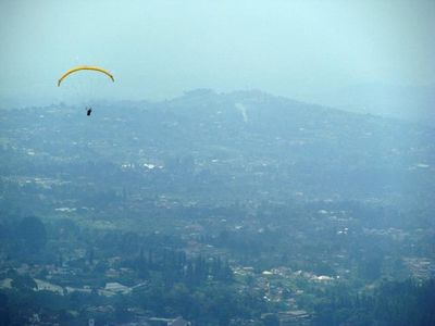 Pesona hijau hutan teh dari udara