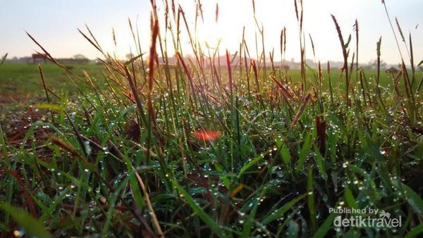 Pesona Keindahan Alam Cirebon yang Jarang Orang Tahu