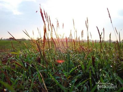 Pesona Keindahan Alam Cirebon yang Jarang Orang Tahu