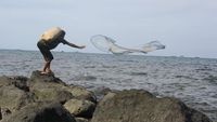 Pesona Pantai Dan Karang Tanjung Ketapang