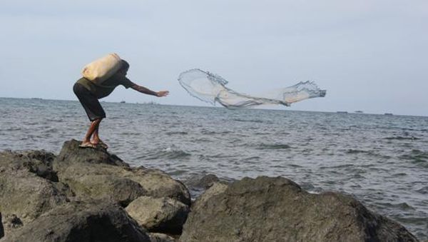 Pesona Pantai Dan Karang Tanjung Ketapang