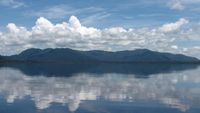 Pesona Taman Nasional Danau Sentarum